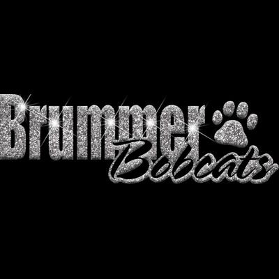 GLT1 SILVER GLITTER Thumbnail